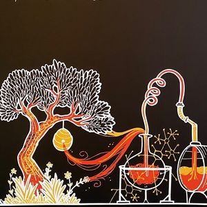 Meet your Posher, Adam